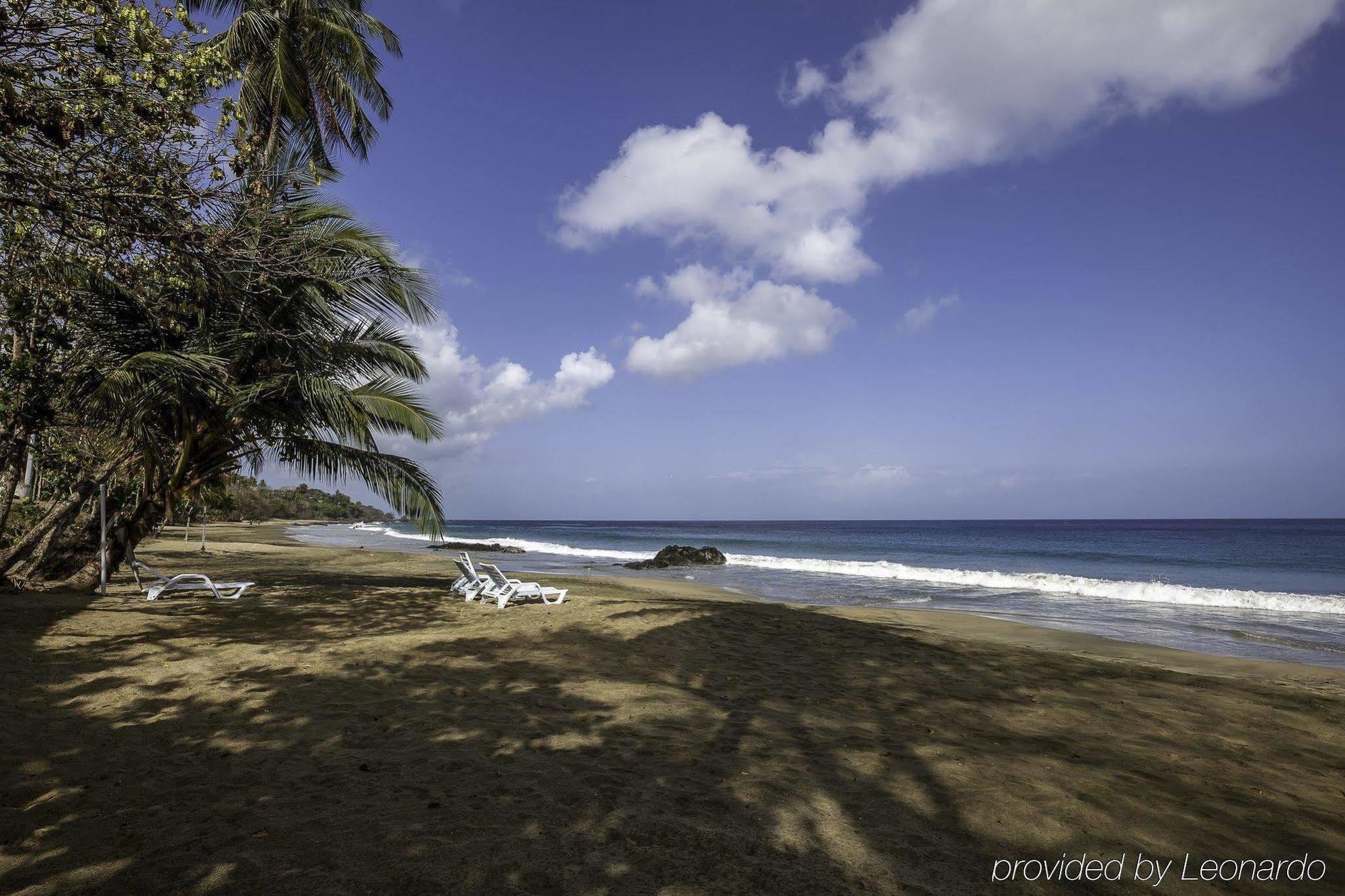 Grafton Beach Resort Black Rock Dış mekan fotoğraf