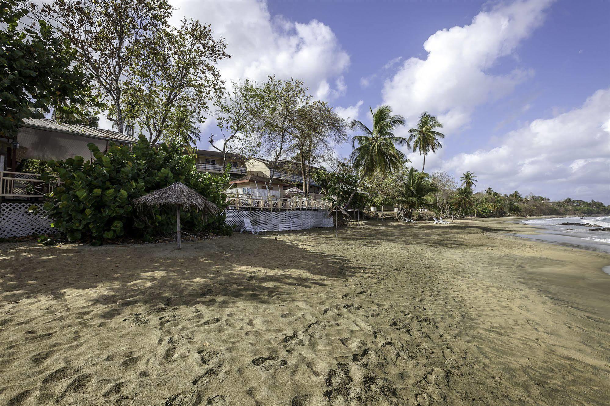Grafton Beach Resort Black Rock Dış mekan fotoğraf